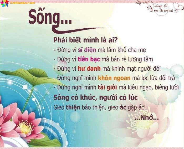images hinhbaiviet y nghia cuoc song 5