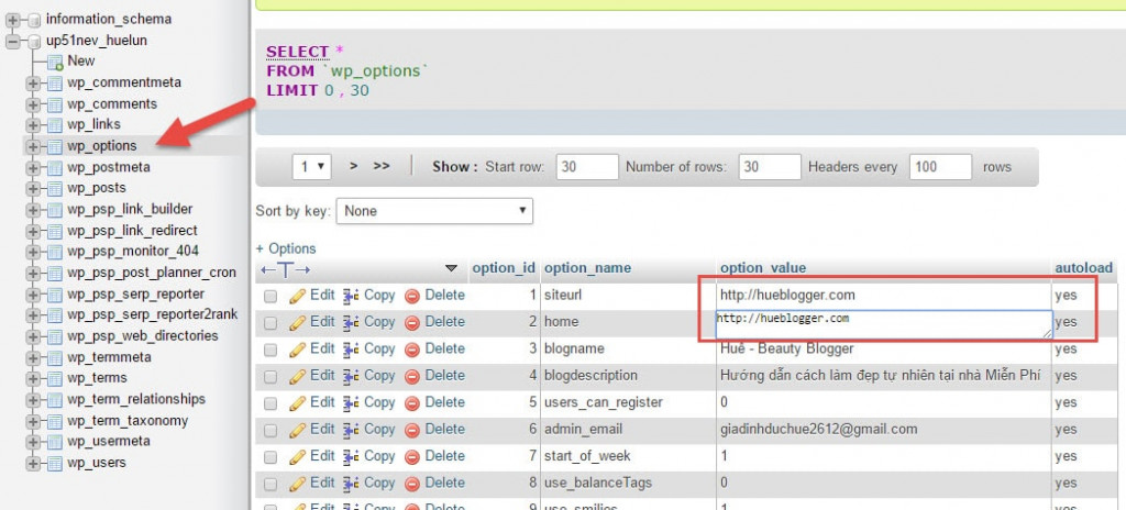 Việt Lâm Coder