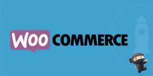 WooCommerce Banners 01