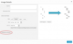 Default styling for WordPress image alignment and captions