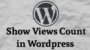 Show view count of a post on wordpress