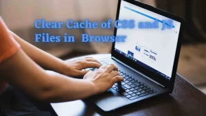 How to Force clear css and js files cache from Browser ?