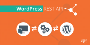 WordPress REST API là gì? Hướng dẫn sử dụng WordPress REST API